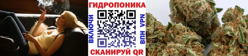 Купить где  Калуга  Шишки марихуана план 